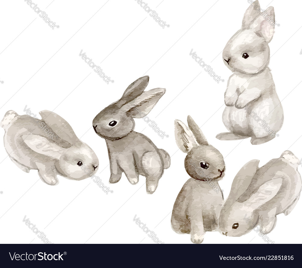 Watercolor christmas bunny and snow isolated Vector Image