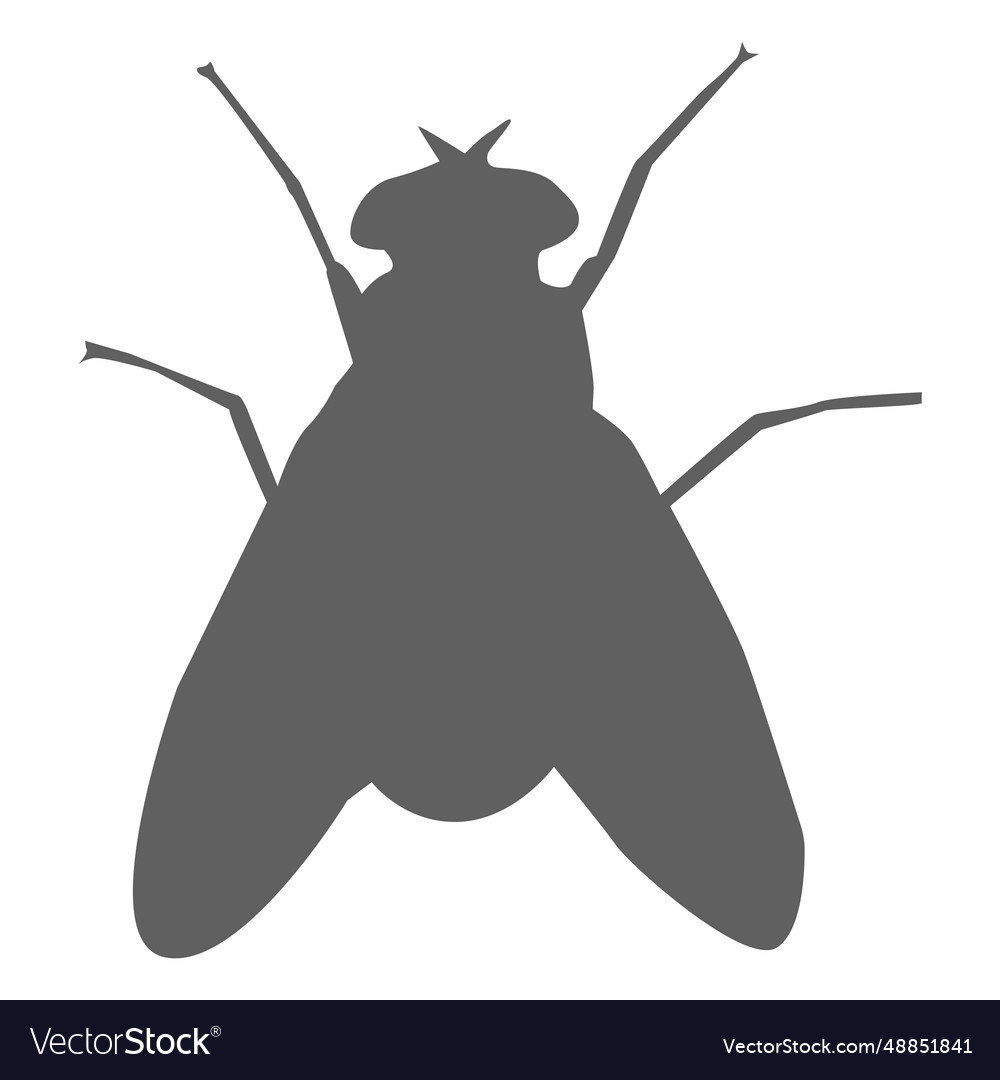 Fly wing feeler silhouette Royalty Free Vector Image