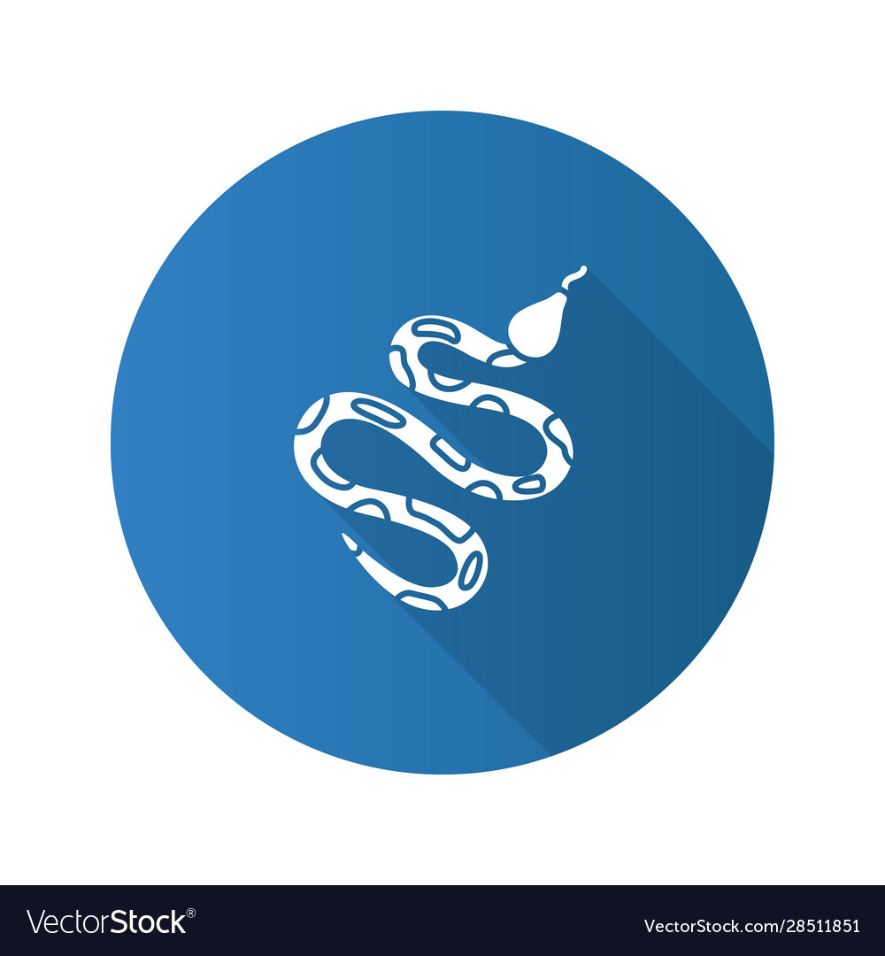 Python flat design long shadow glyph icon Vector Image