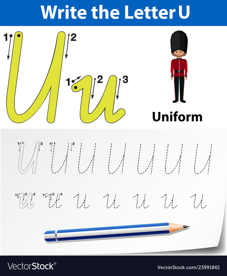 letter u tracing alphabet worksheets royalty free vector