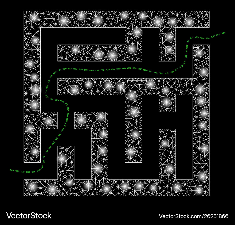 Flare mesh carcass labyrinth route with Royalty Free Vector