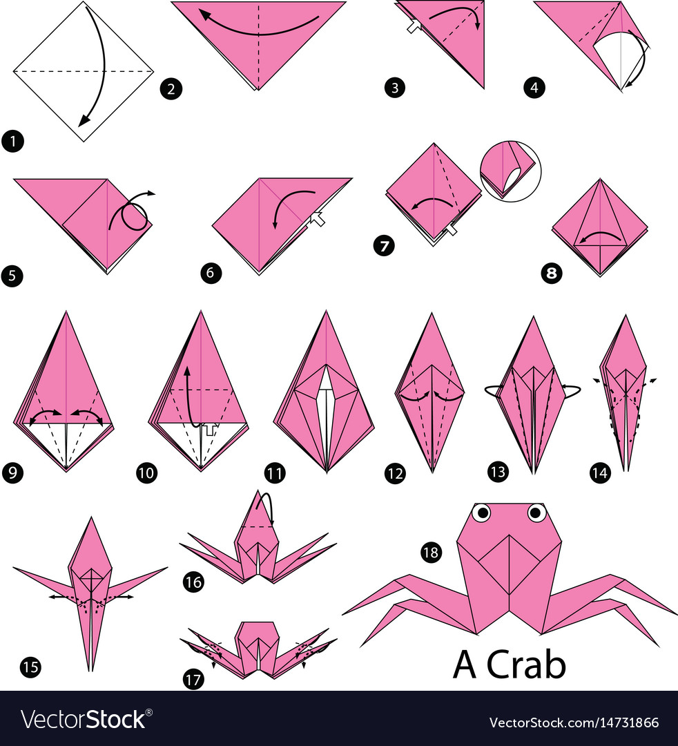 Step By Step Instructions How To Make Origami