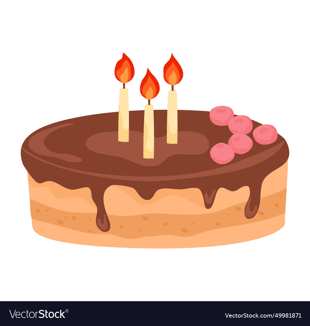 Birthday cake with chocolate icing and three lit Vector Image