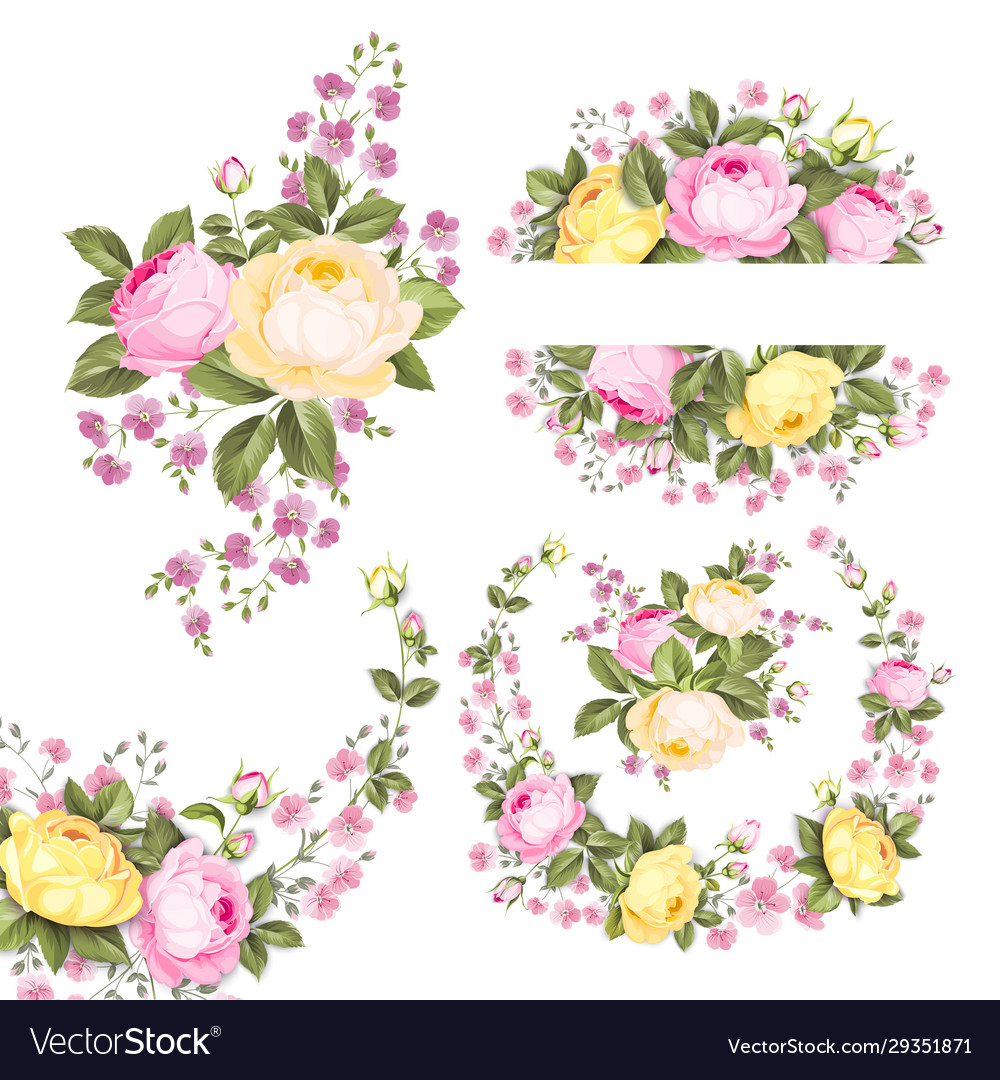 Vintage rose flowers set over white background Vector Image