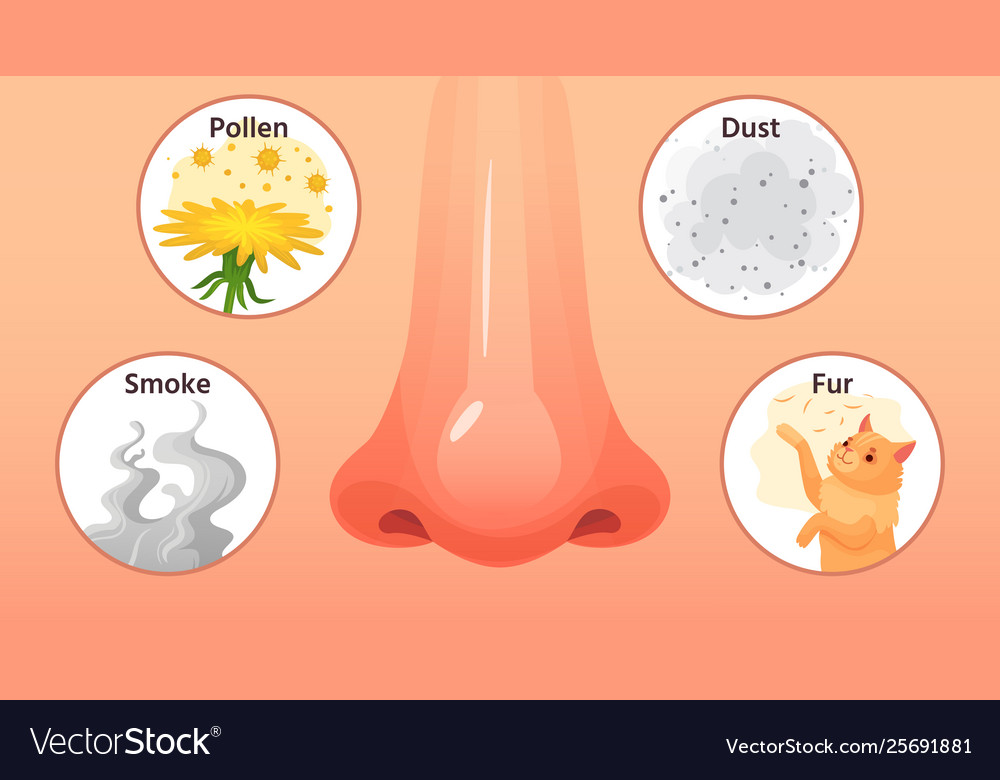 Allergic sickness red nose allergy illnesses Vector Image