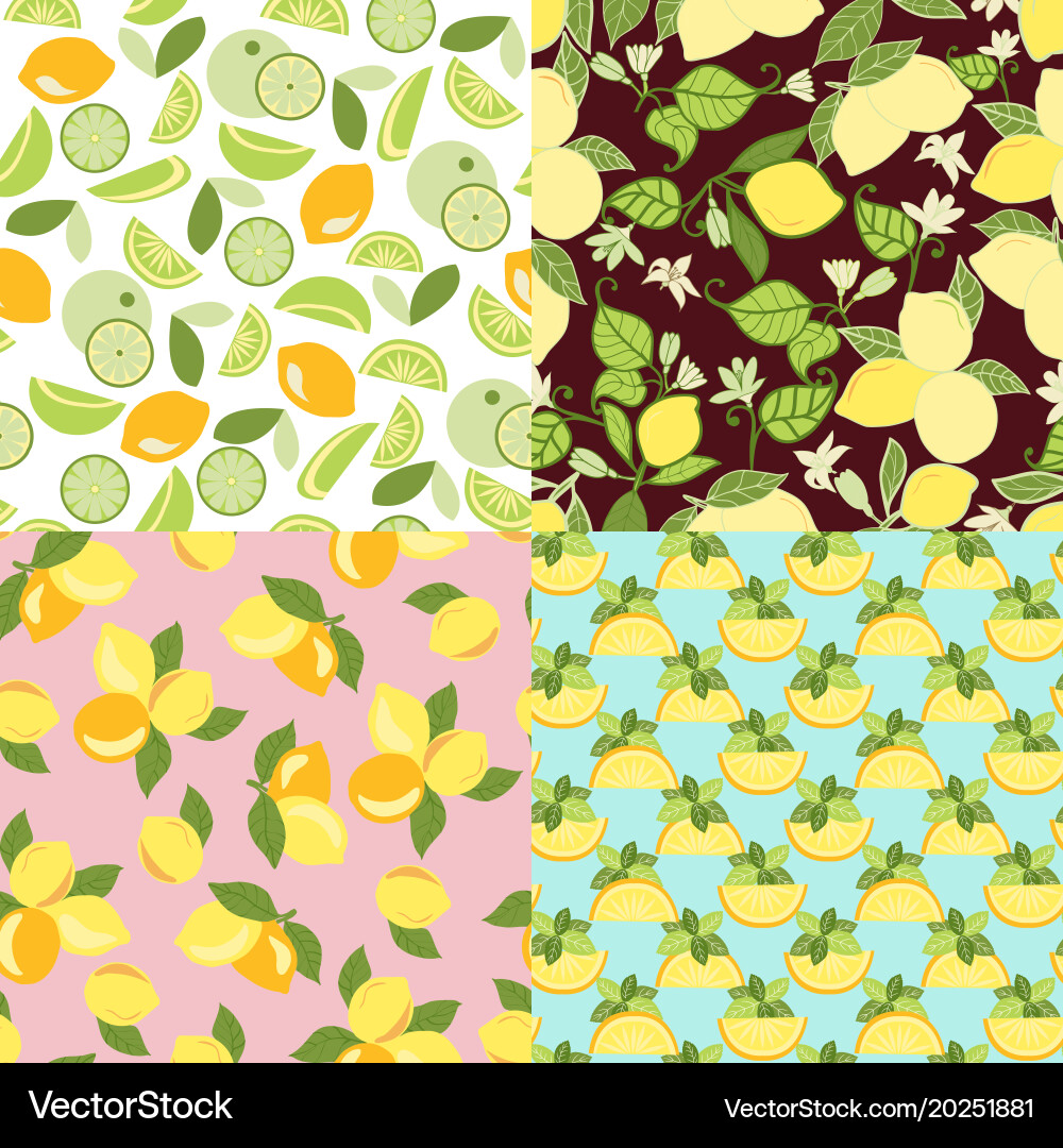 Patterns with lime lemon slices and lemon leaves Vector Image