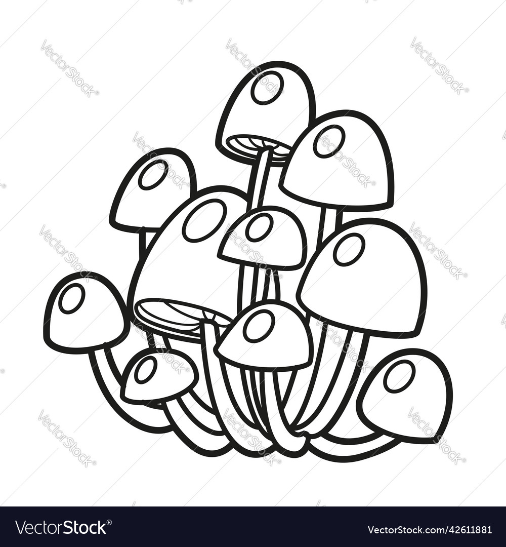 Poisonous toadstool mushrooms linear drawing Vector Image