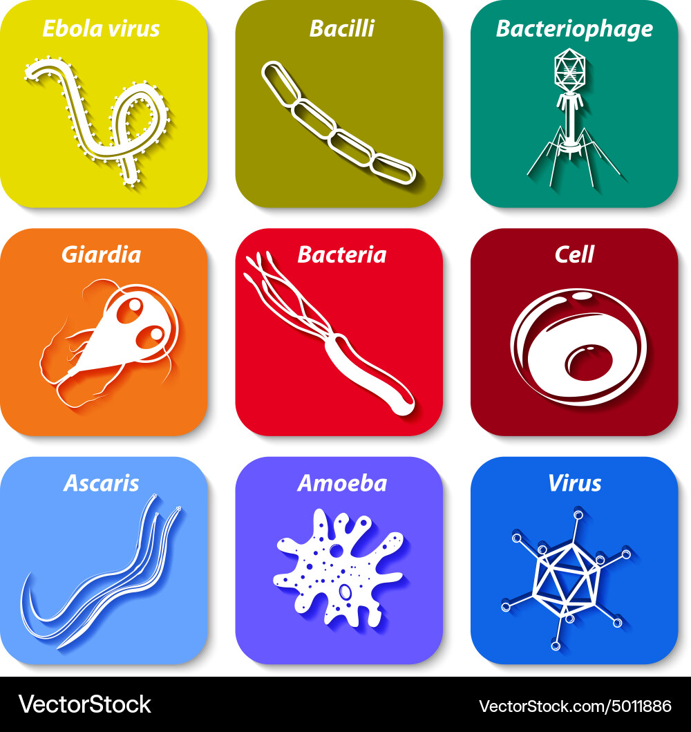 Icon cell microb Royalty Free Vector Image - VectorStock