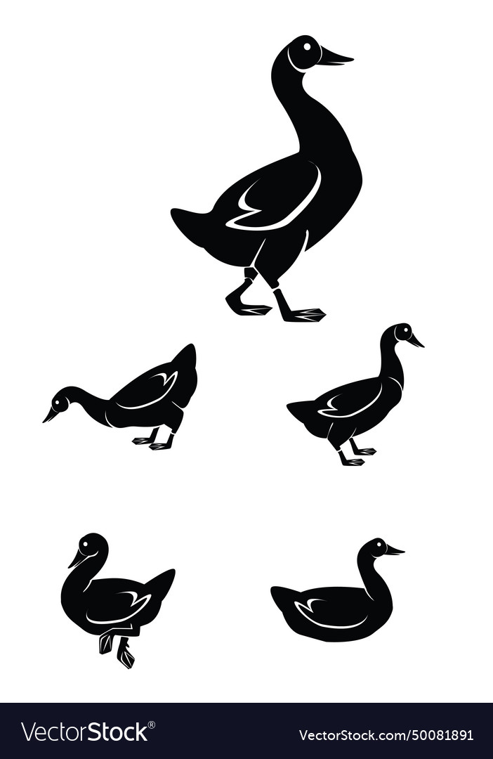 Black and white of goose set Royalty Free Vector Image