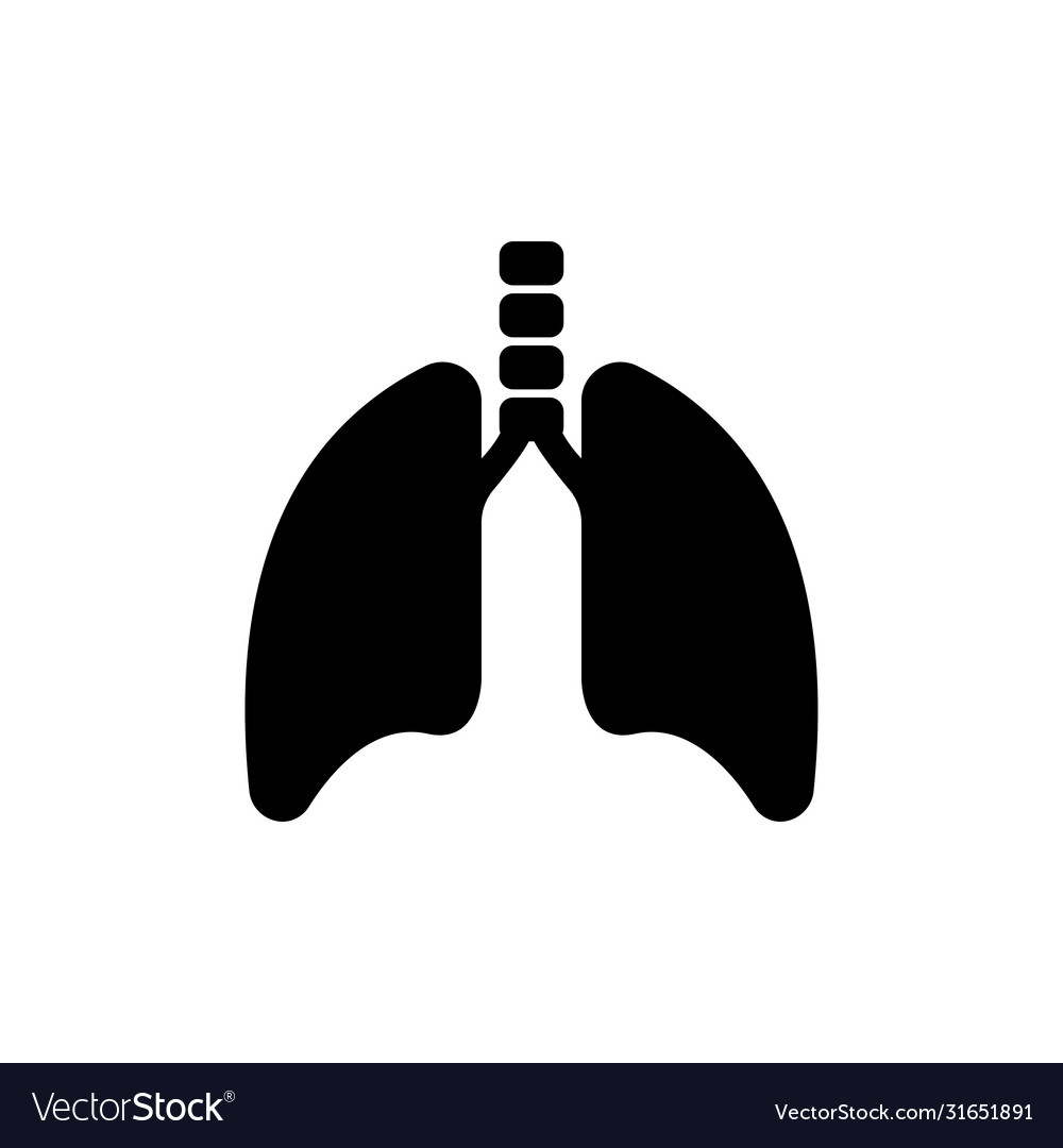 Lungs and trachea human respiratory organ flat Vector Image