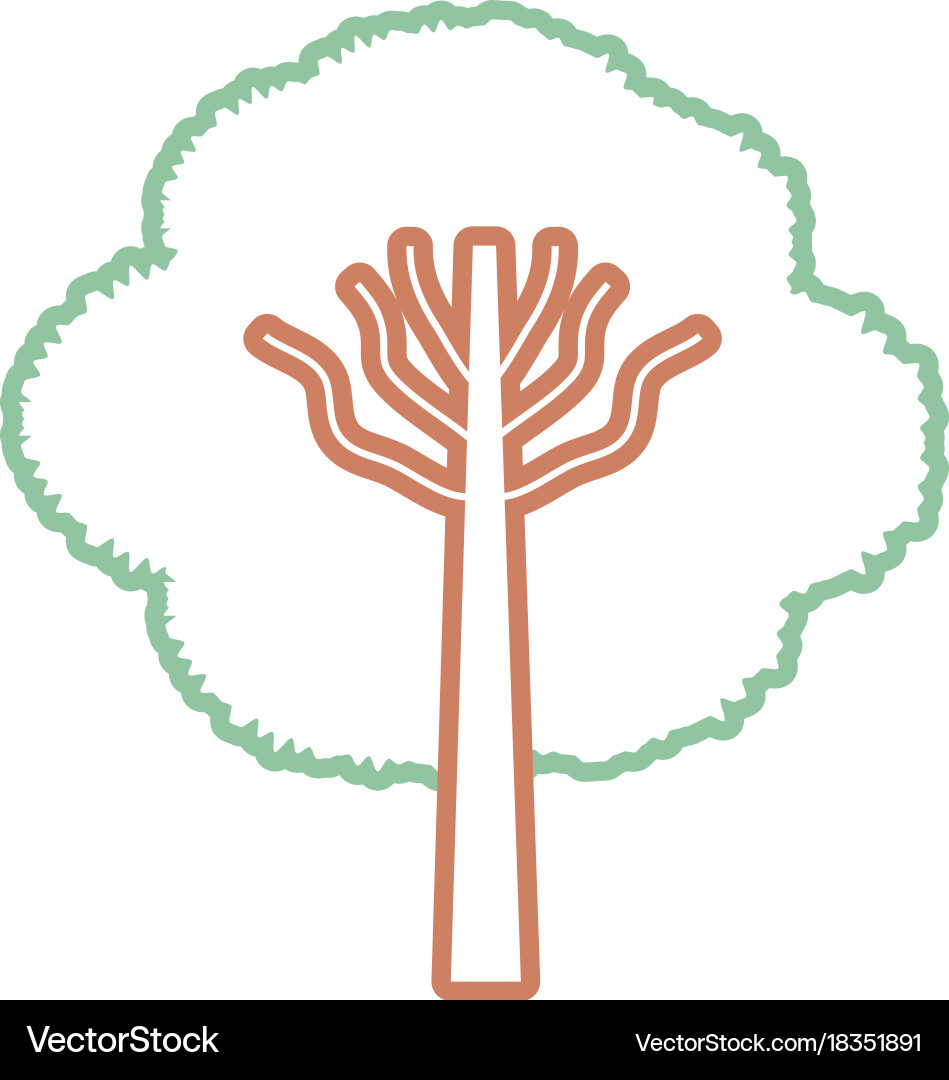 Tree Royalty Free Vector Image - VectorStock