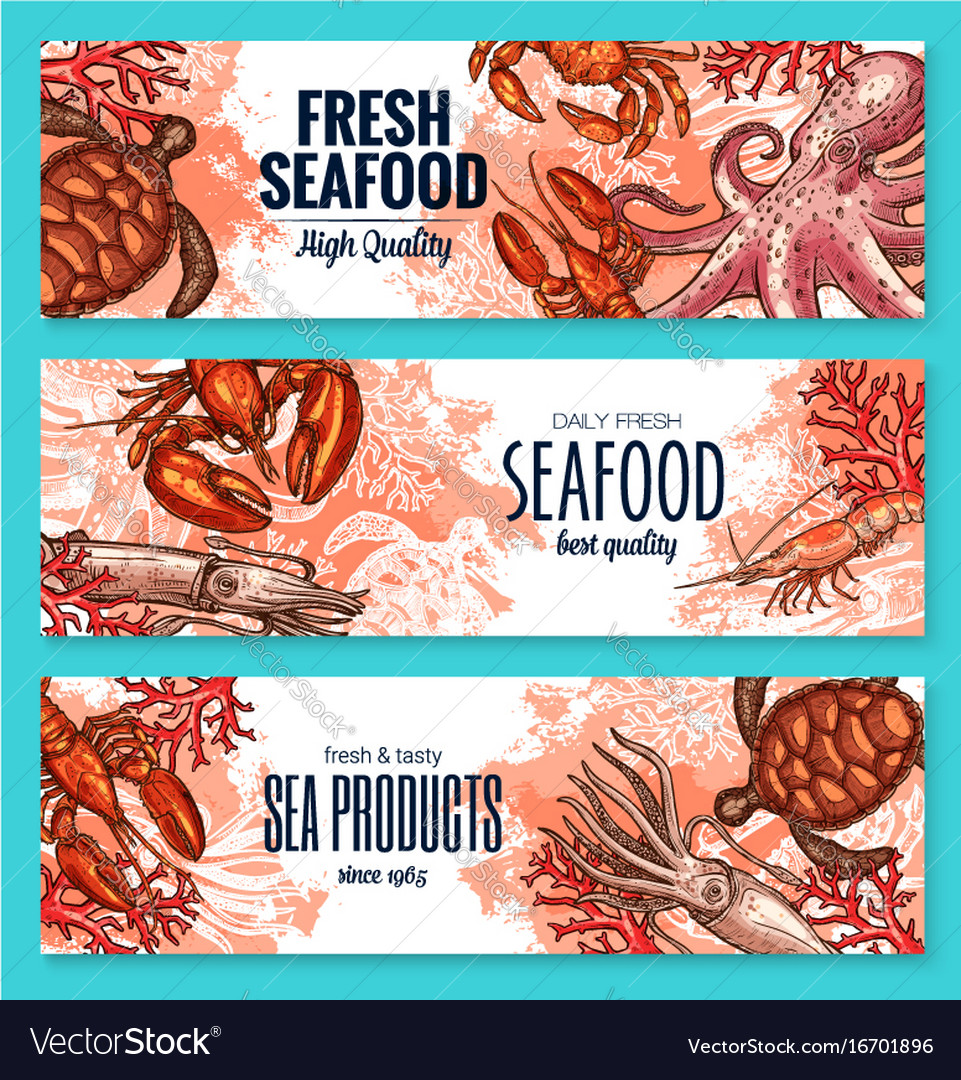 Seafood Product Sketch Banner Set For Food Design Vector Image