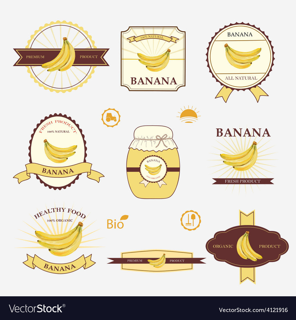 Banana set of label design and templates Vector Image