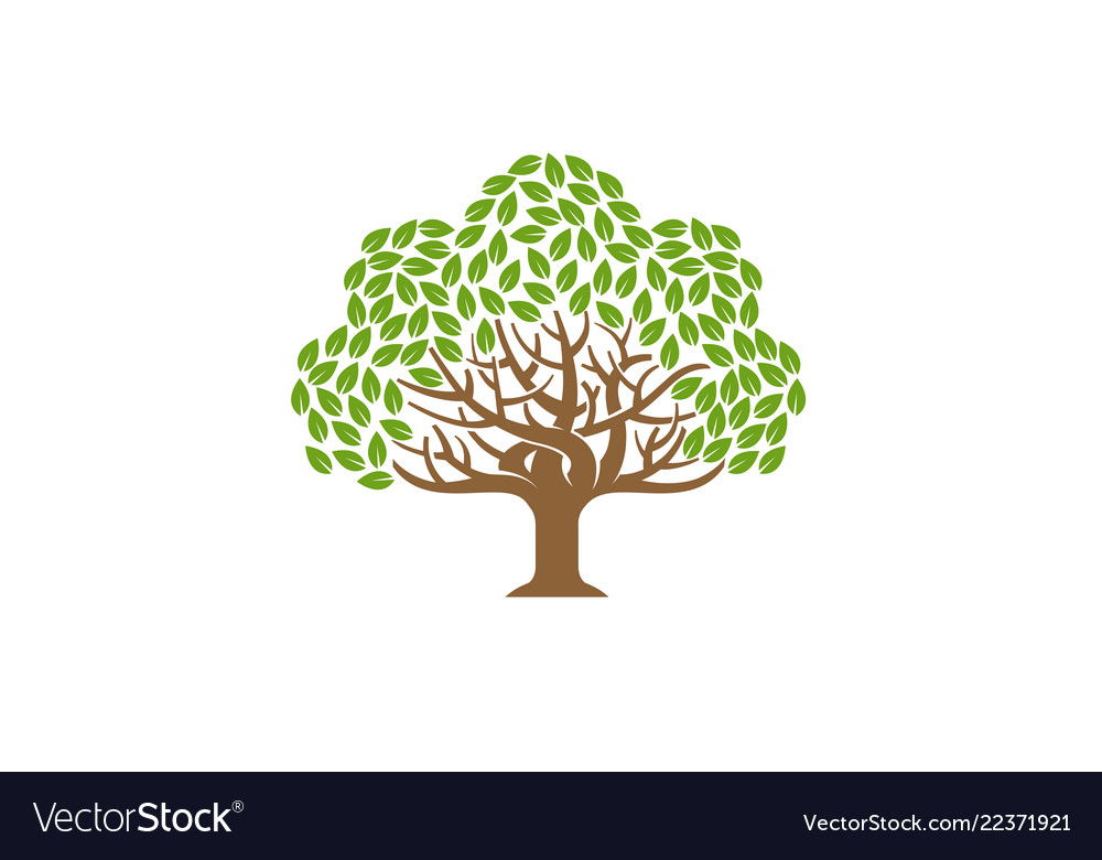 oak tree logo