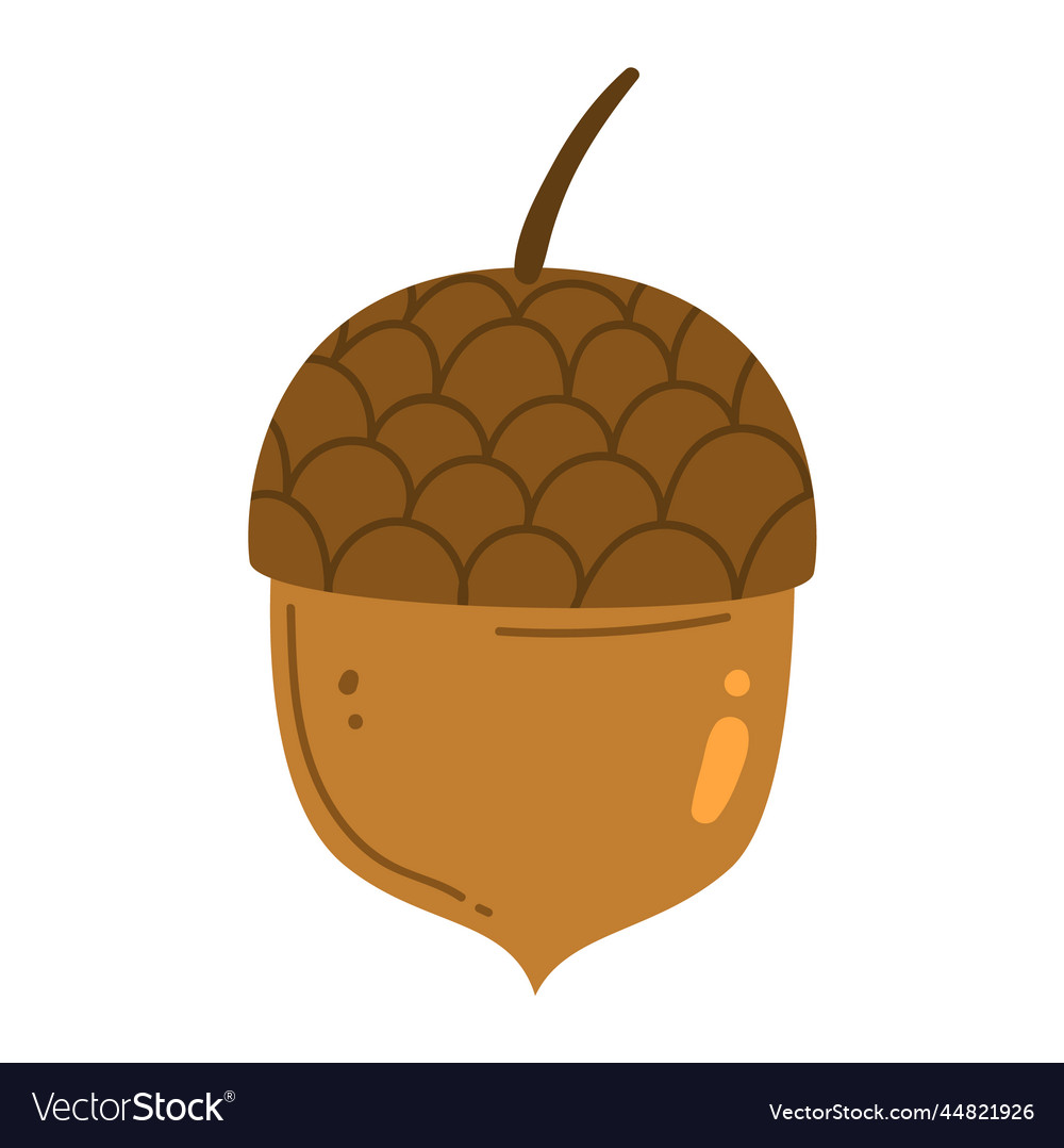 Acorn or pine tree cone Royalty Free Vector Image