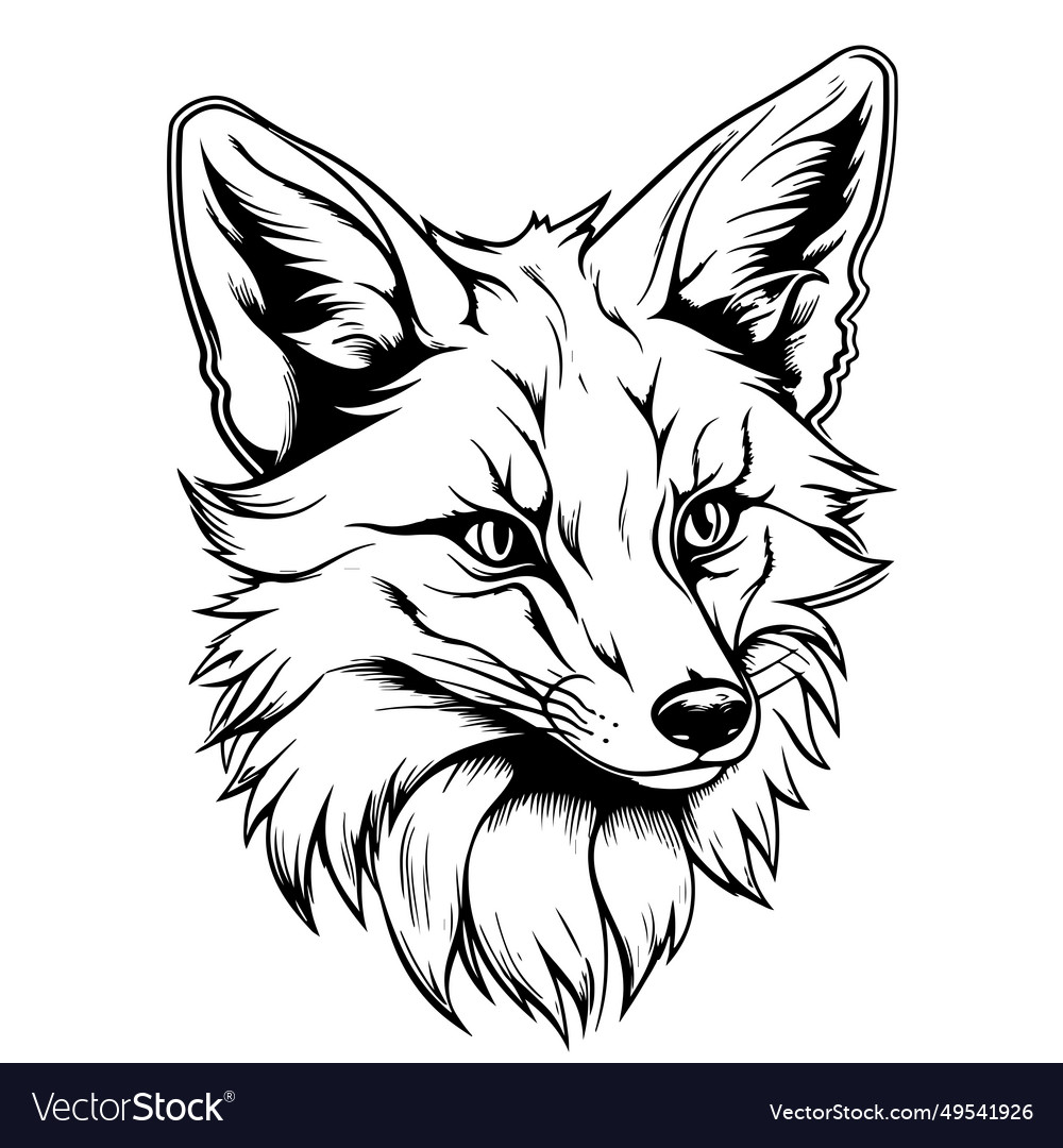 Fox graphic sketch black and white hand-drawn