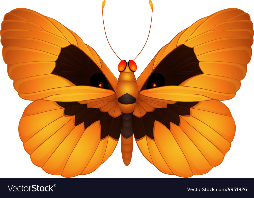 Halloween butterfly Royalty Free Vector Image - VectorStock