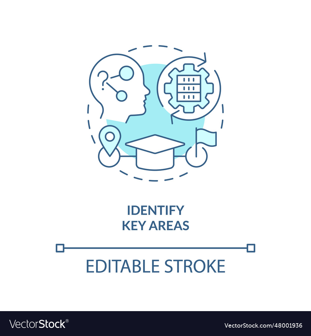 Customizable identify key areas blue linear icon Vector Image