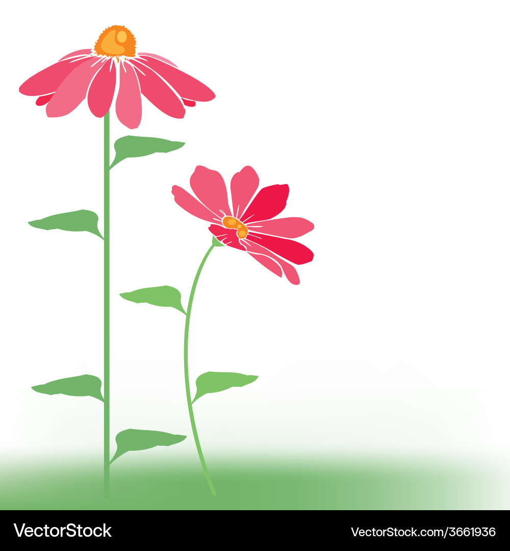 Flowers pink Royalty Free Vector Image - VectorStock