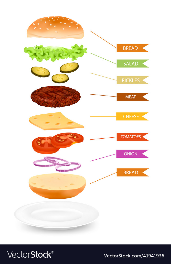 Realistic hamburger layers infographics Royalty Free Vector