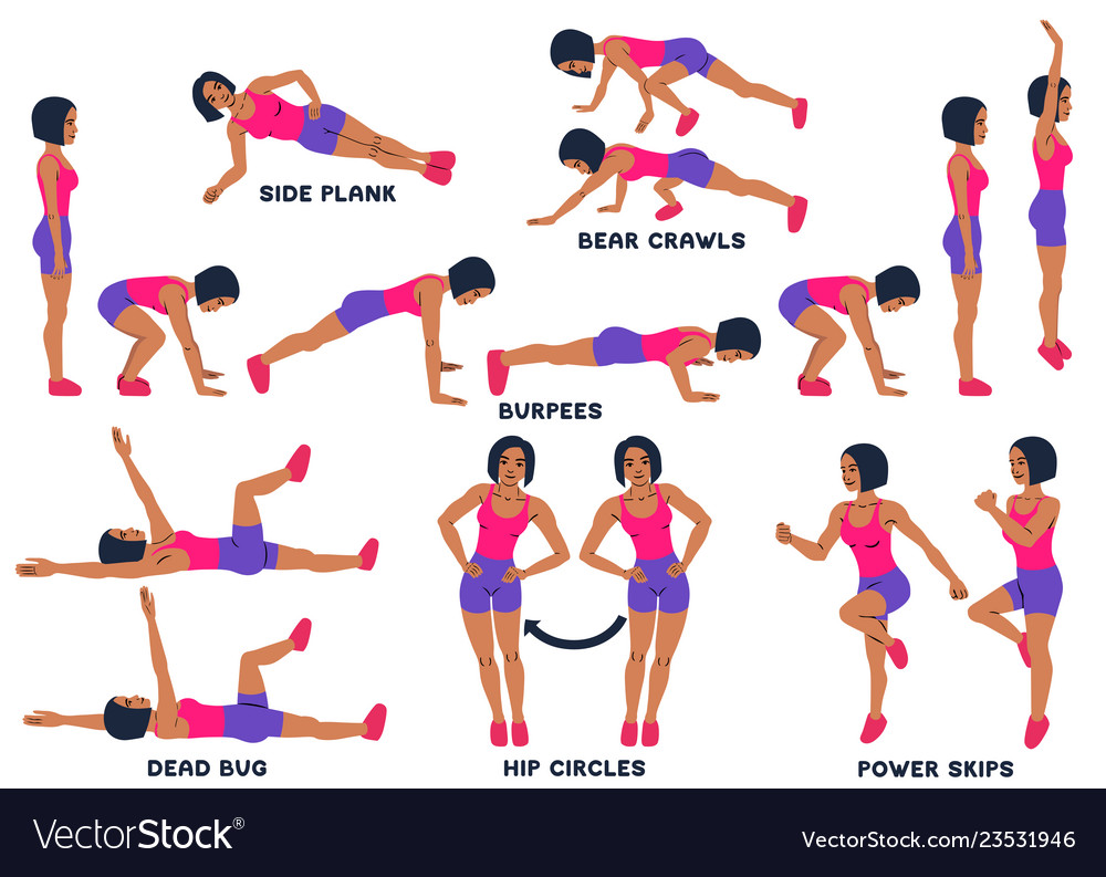 Burpees bear crawls hip circles dead bug side Vector Image