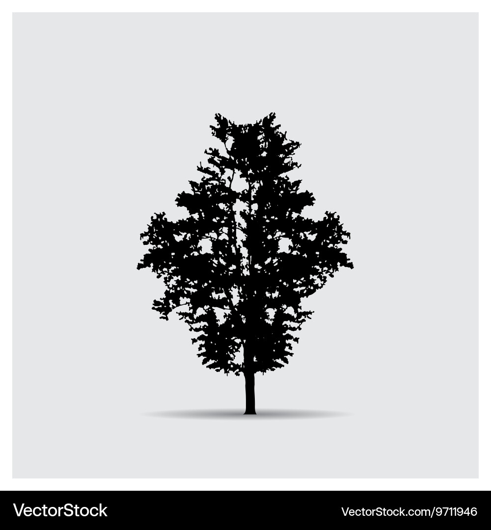 Tree silhouettes Royalty Free Vector Image - VectorStock