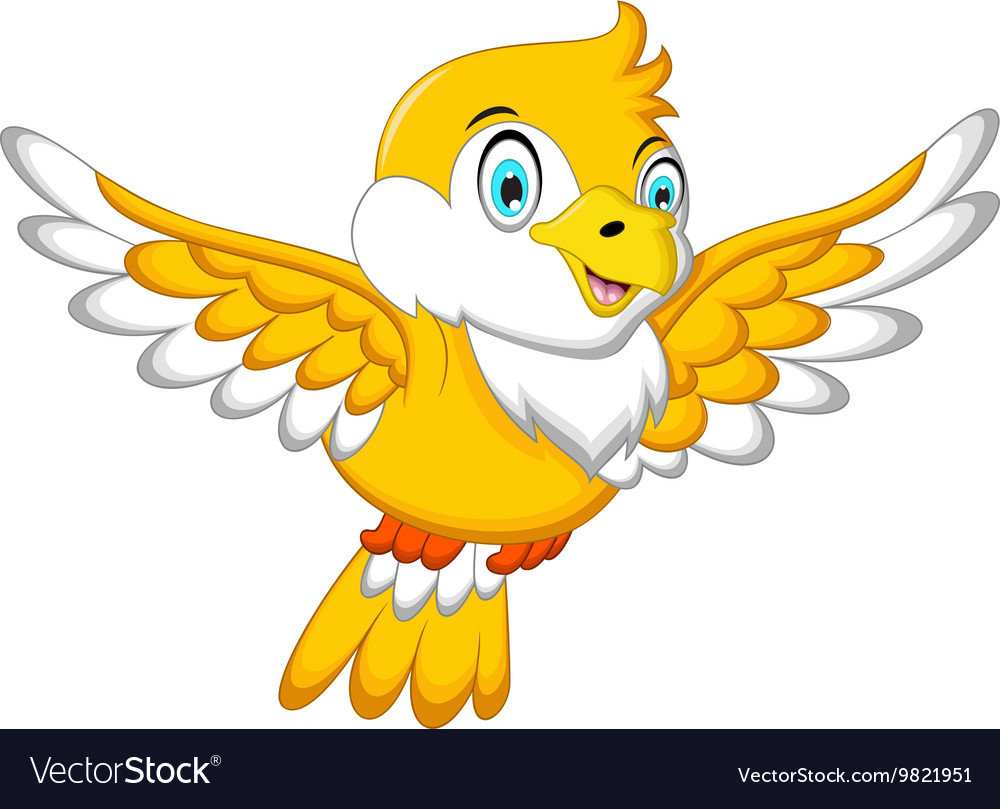 Bird cartoon animal Royalty Free Vector Image - VectorStock