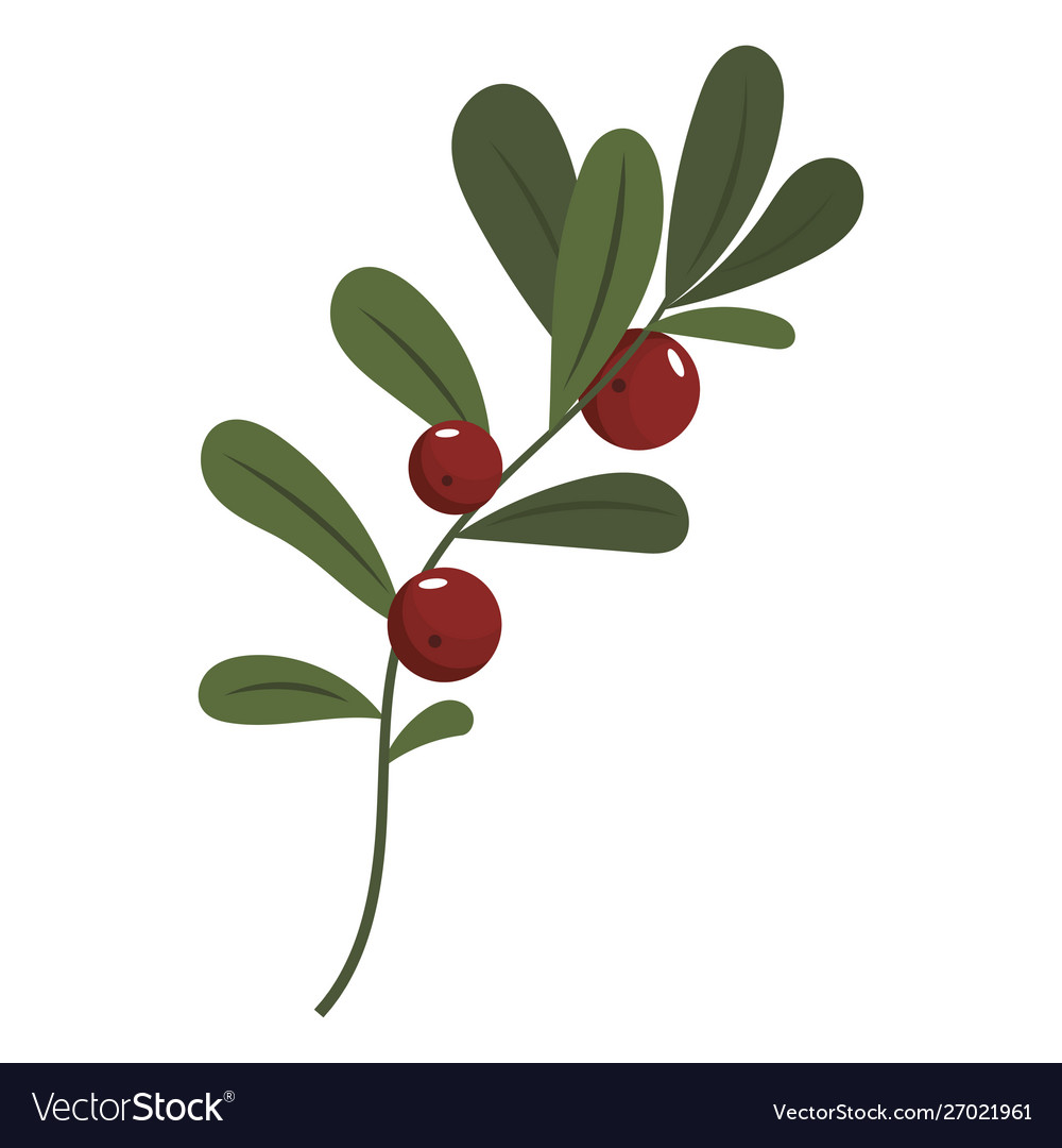 Flower poinsettia cartoon christmas Royalty Free Vector