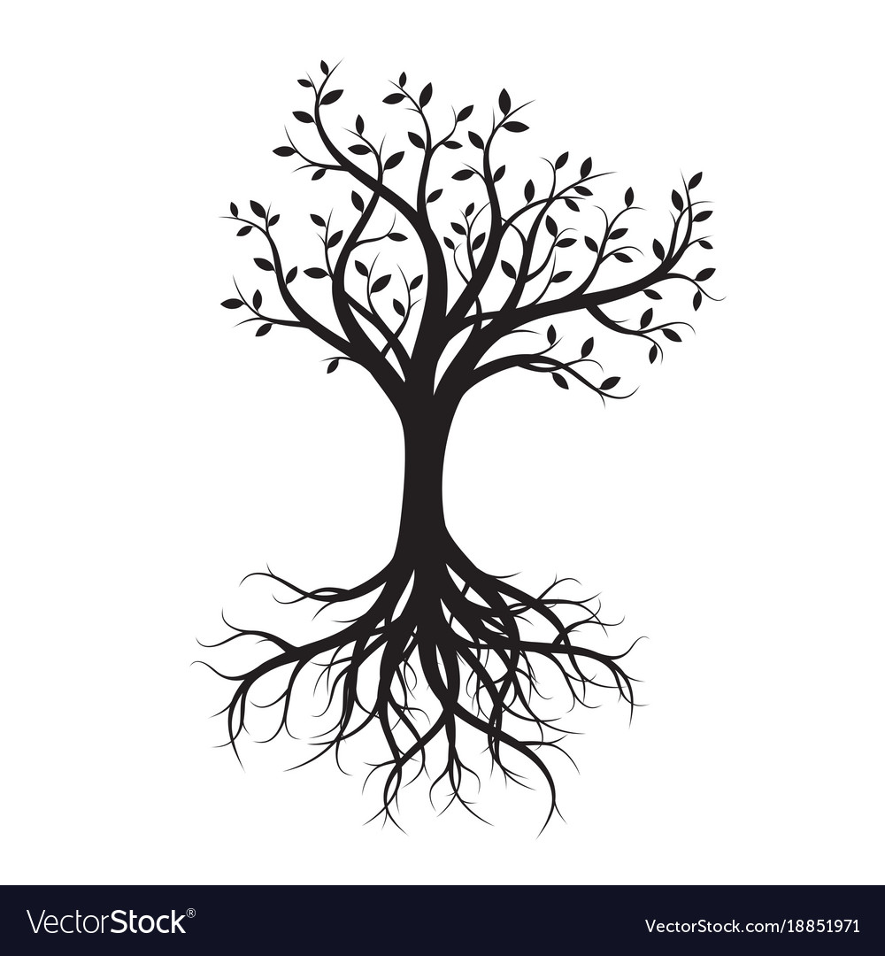 Download Black tree with roots Royalty Free Vector Image