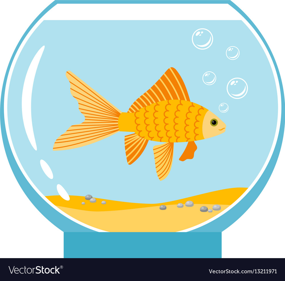 Gold fish in small bowl isolated on white Vector Image