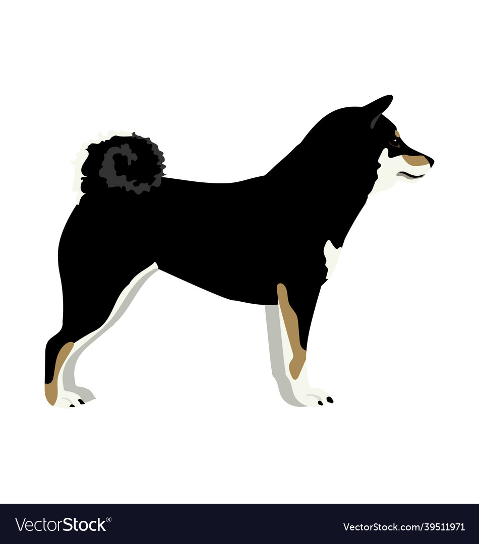 Shiba inu - black and tan - side view Royalty Free Vector