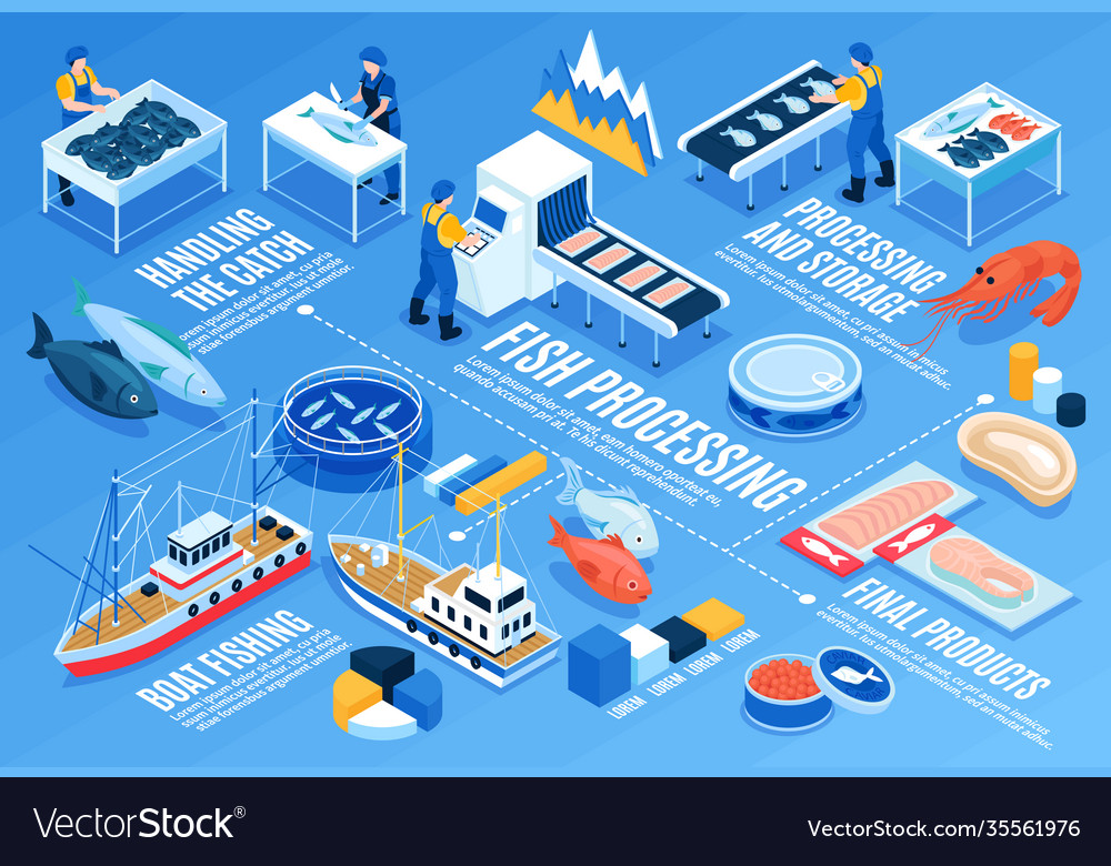 Fish processing horizontal infographics Royalty Free Vector