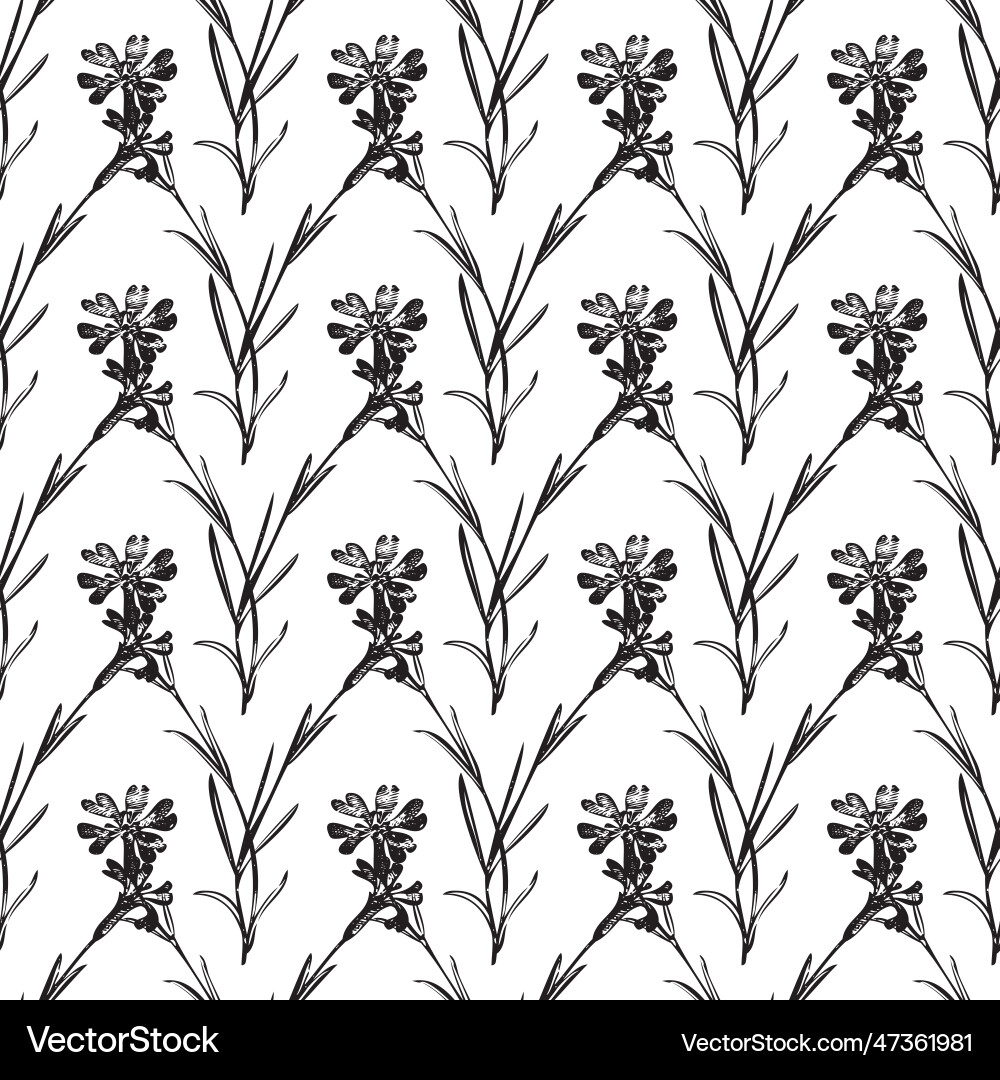 Botanical hand drawn floral seamless pattern Vector Image