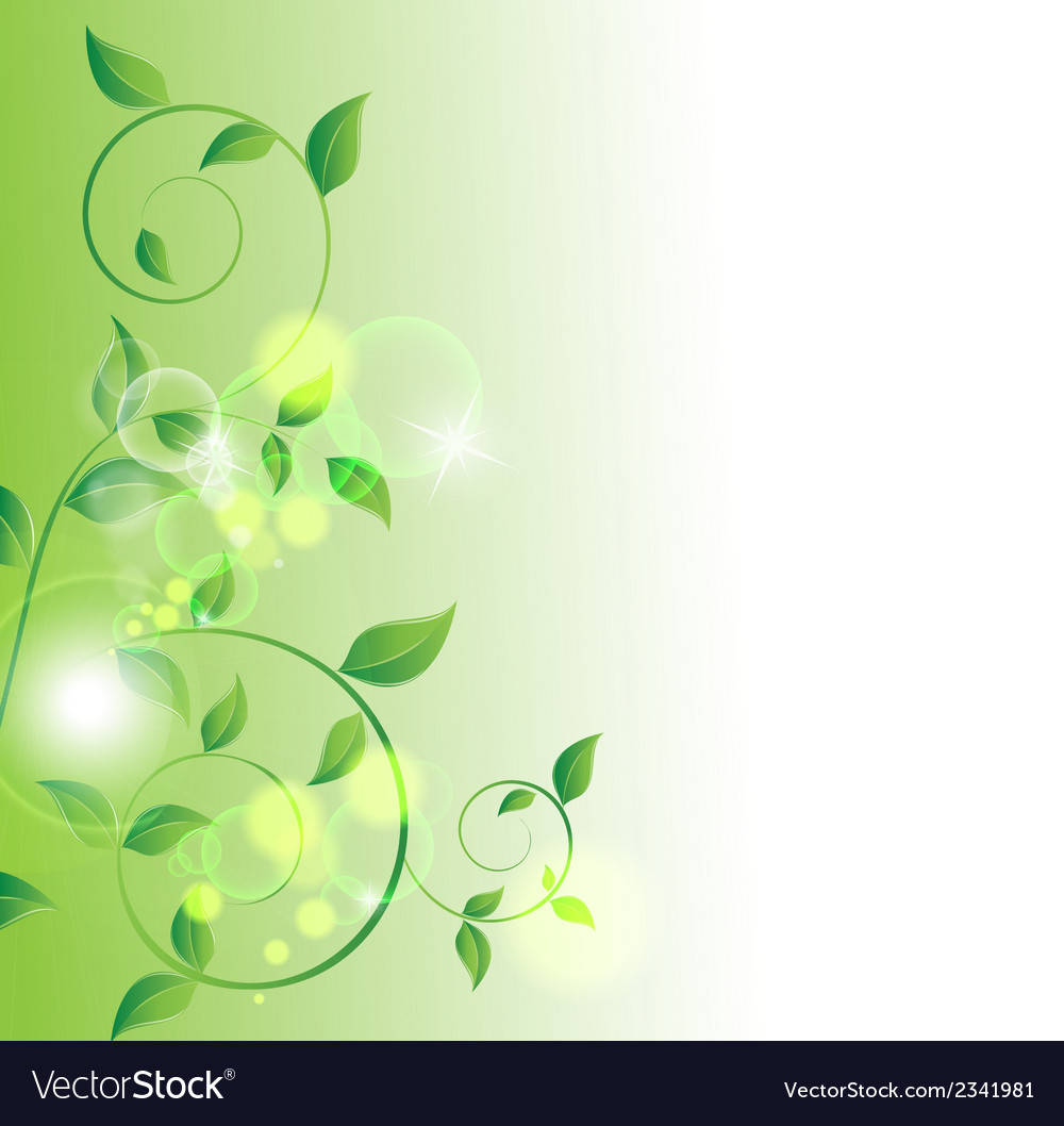 Branch with fresh green leaves Royalty Free Vector Image