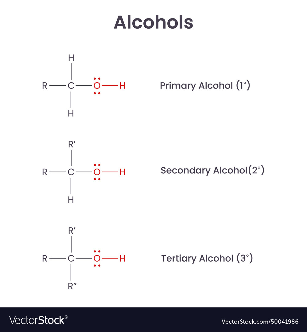 Alcohol biochemistry functional groups Royalty Free Vector