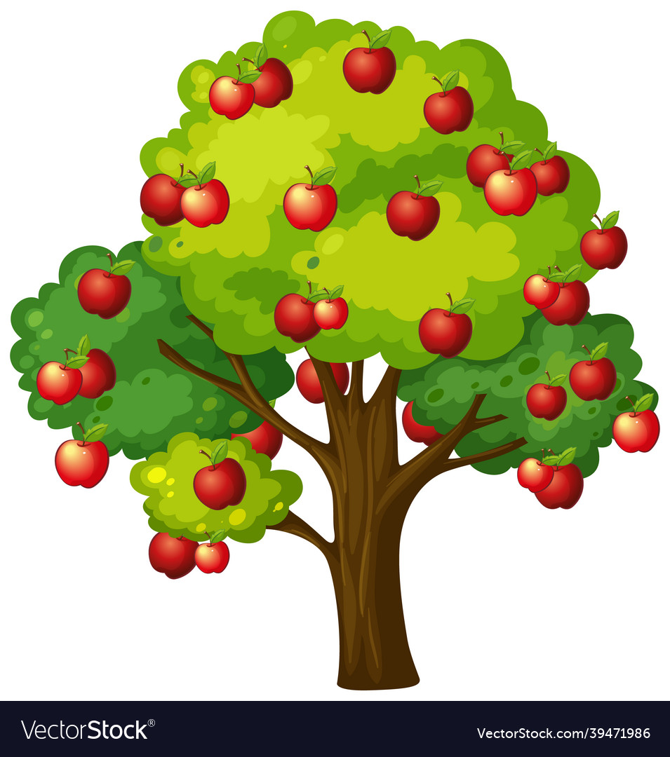 Apple tree isolated on white background Royalty Free Vector