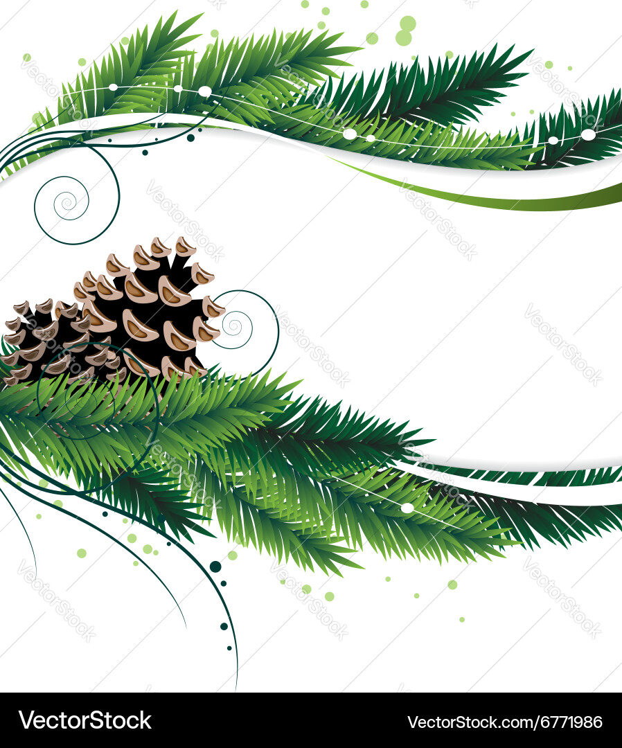 Pine branches and cones Royalty Free Vector Image