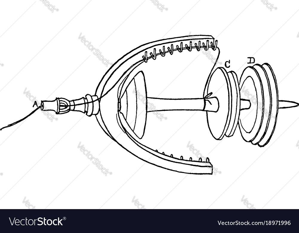 Diagram of a spindle the spindle proper is simply Vector Image