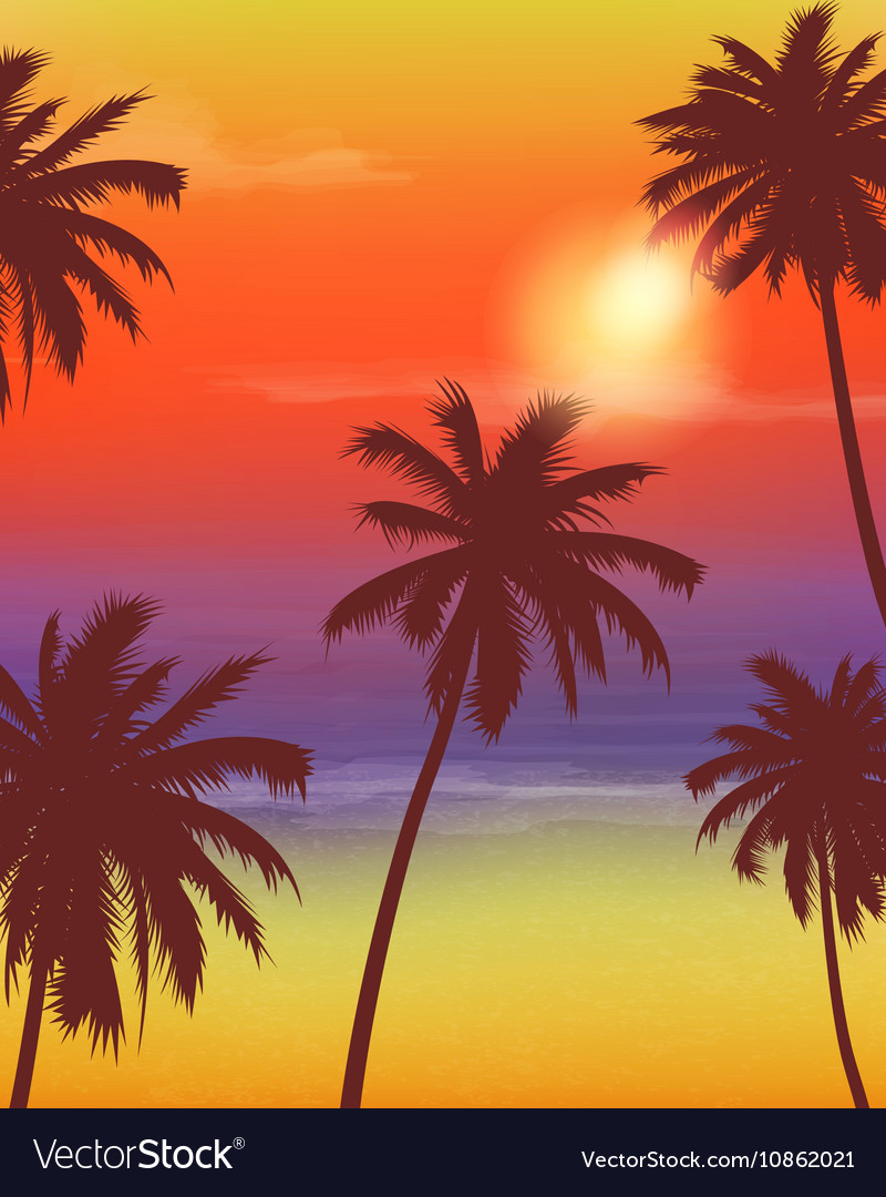 Travel backgrounds with palm trees exotic Vector Image