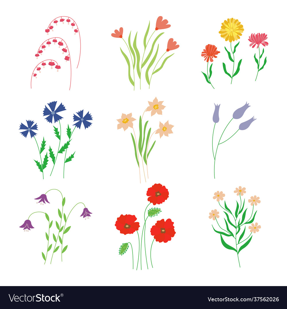 Set Wild Meadow And Garden Flowers Hand Drawn Vector Image