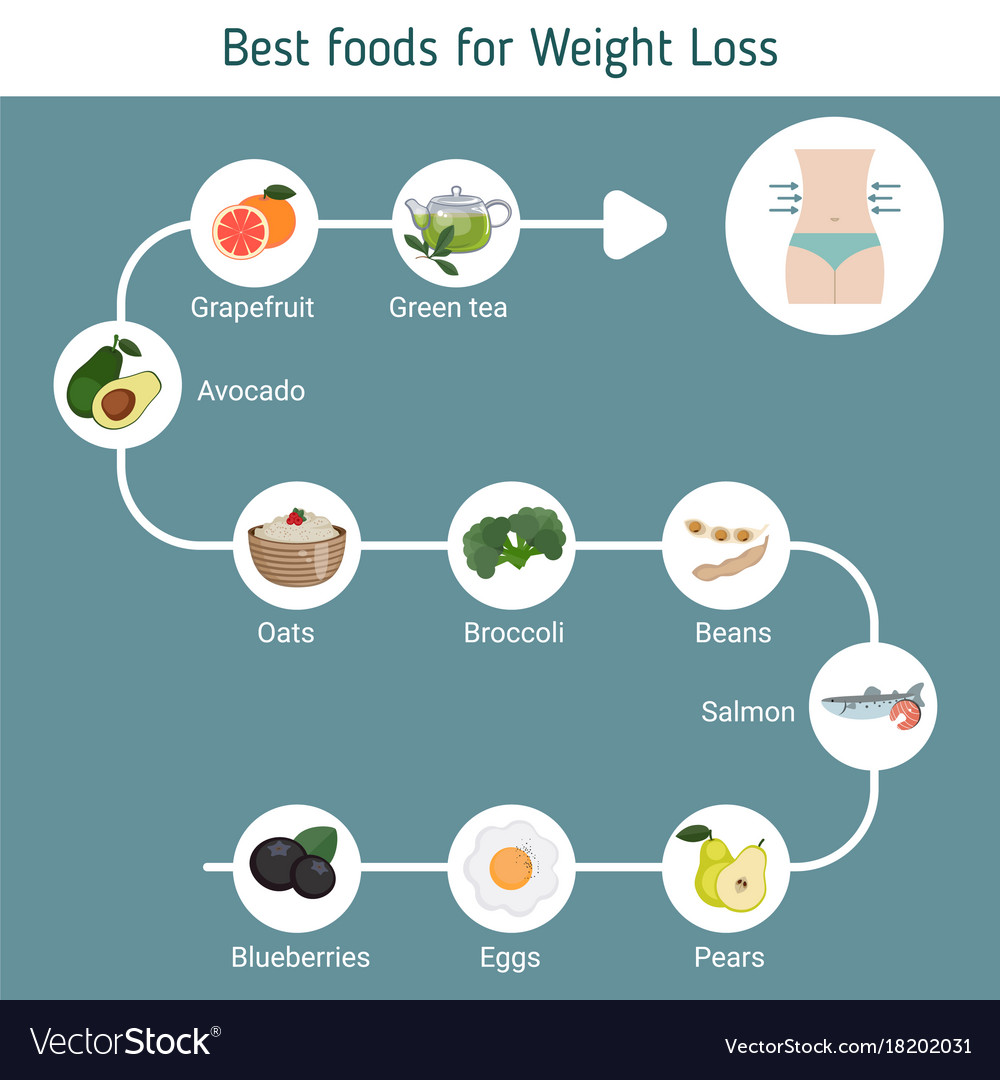 Best foods for weight loss Royalty Free Vector Image