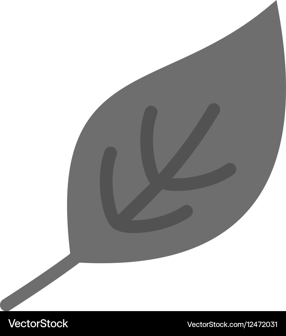 Leaf Royalty Free Vector Image - VectorStock