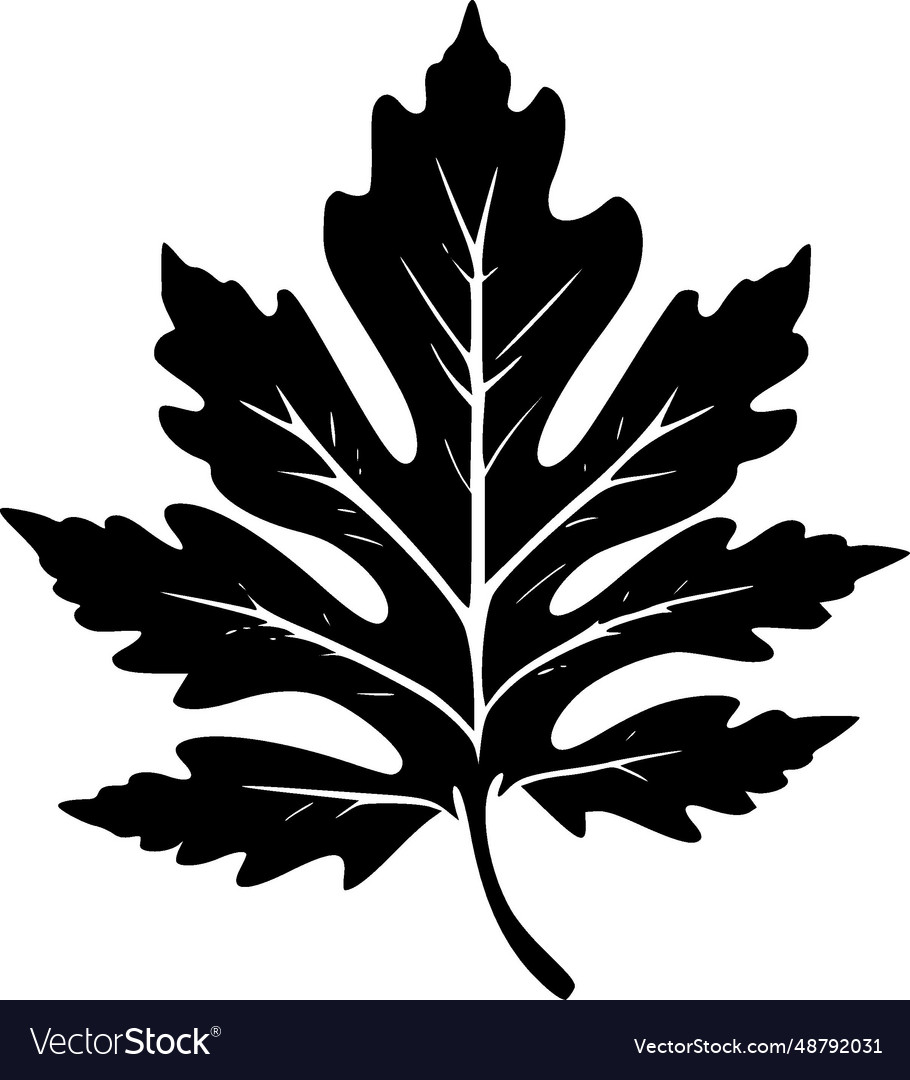 Leaves - minimalist and simple silhouette Vector Image