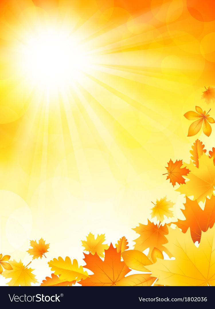 Bright Autumn Background Royalty Free Vector Image