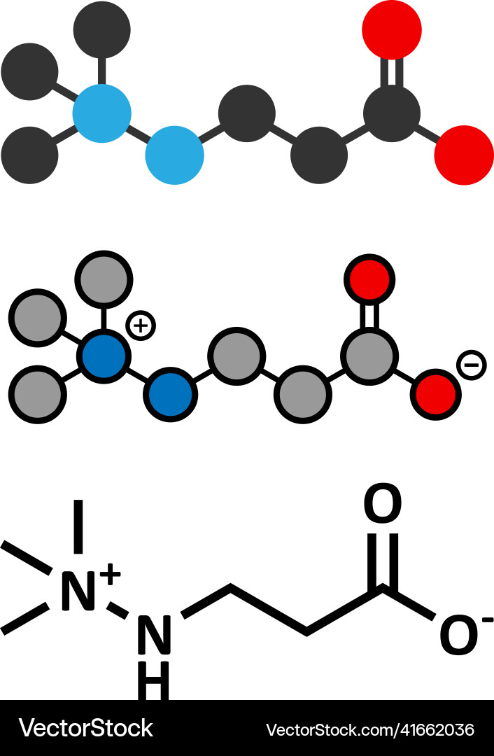 Meldonium antiischemic drug molecule used Vector Image