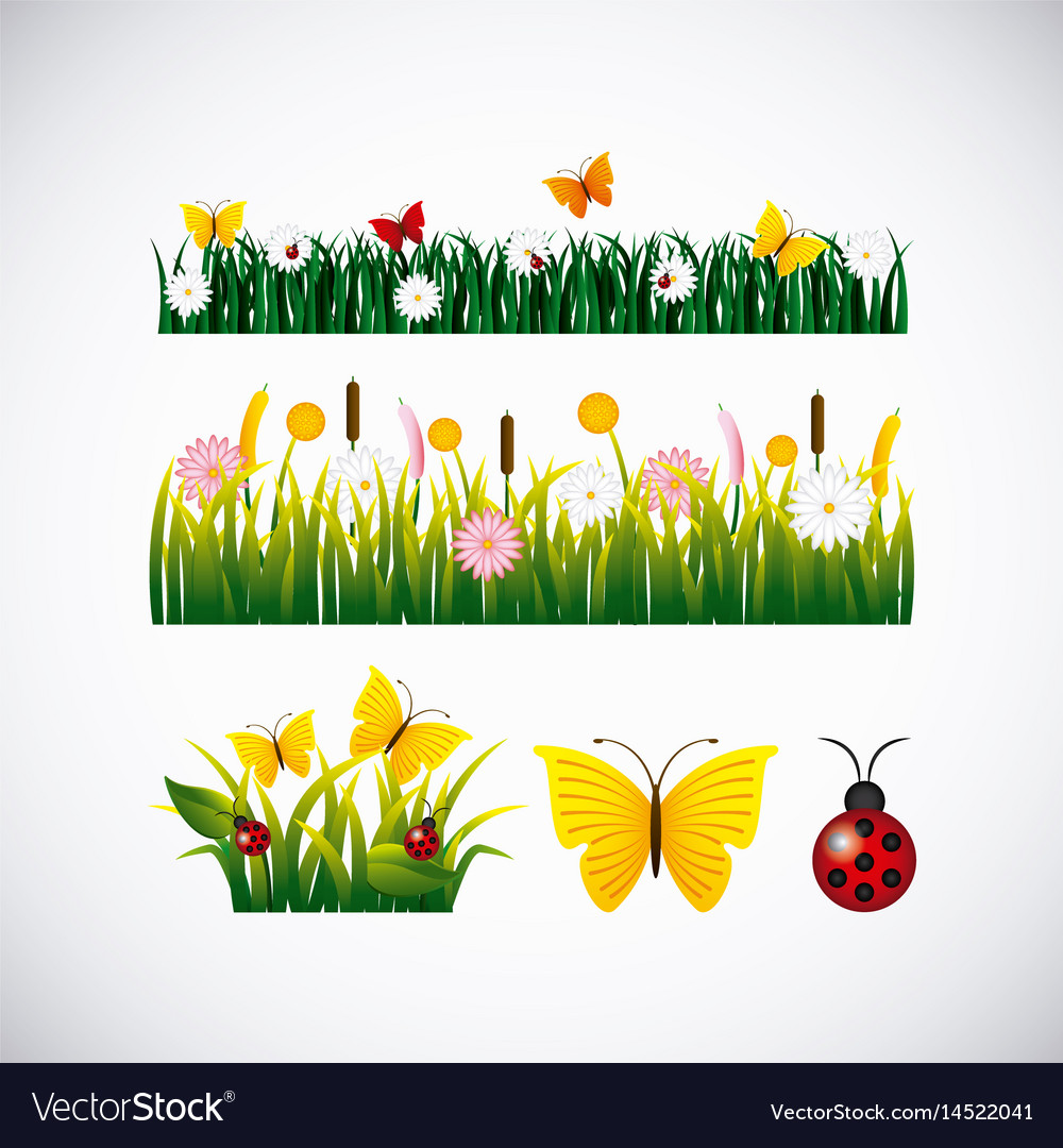 Garden Flowers And Butterflies Royalty Free Vector Image