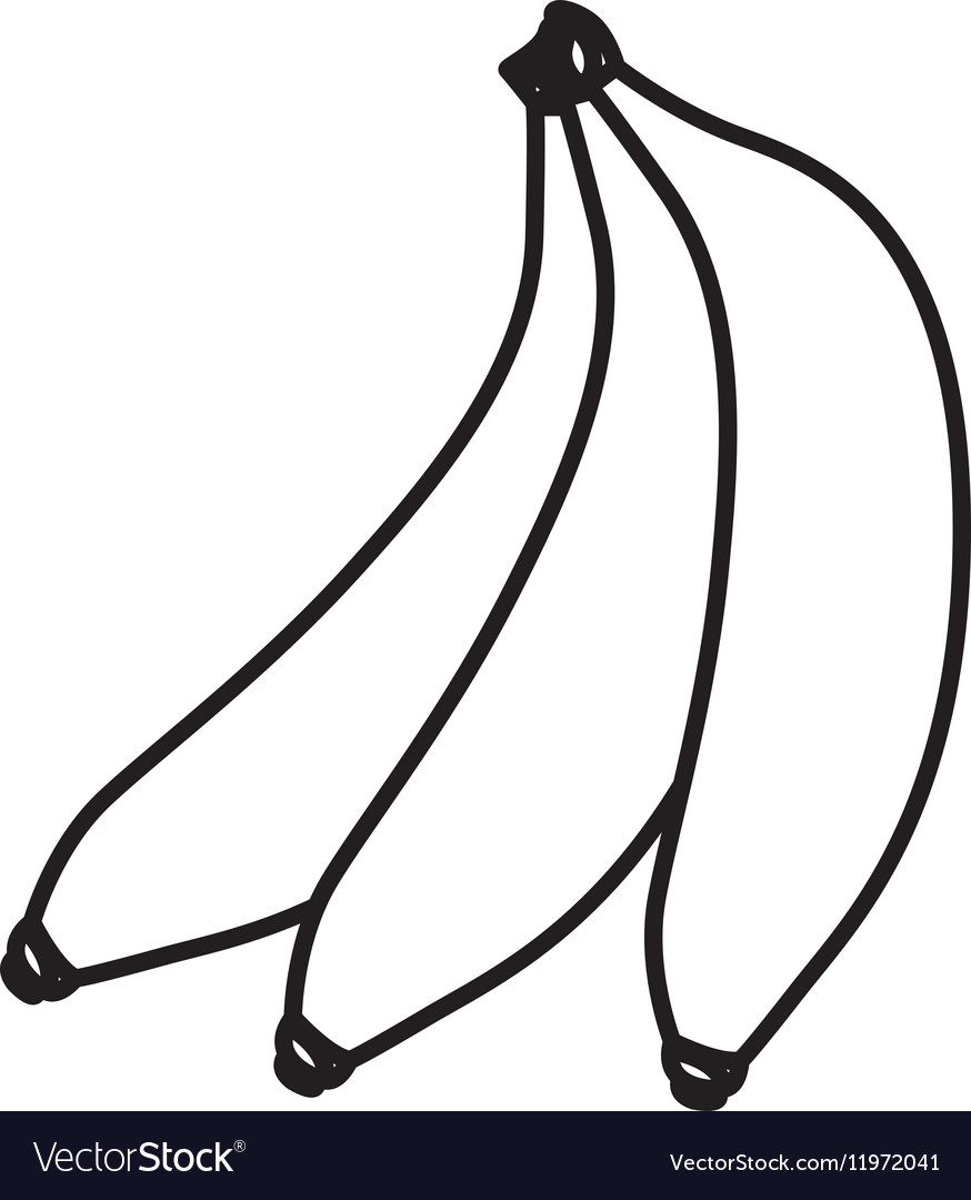 Isolated banana fruit design Royalty Free Vector Image