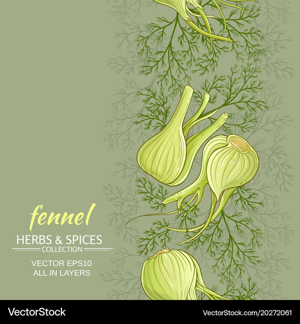 Fennel background Royalty Free Vector Image - VectorStock