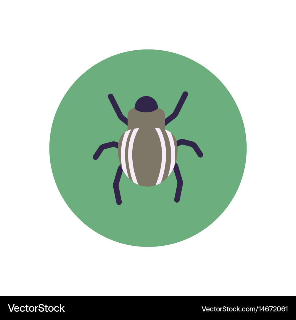 Stylish icon in color circle beetle insect Vector Image