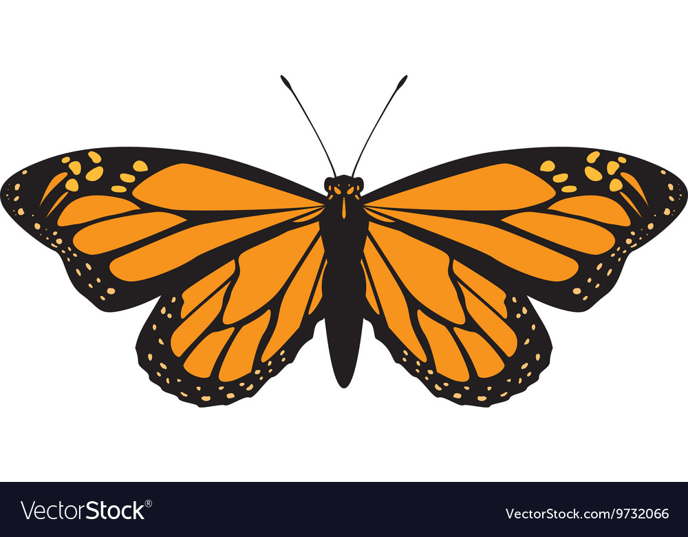 Orange butterfly icon insect design Royalty Free Vector